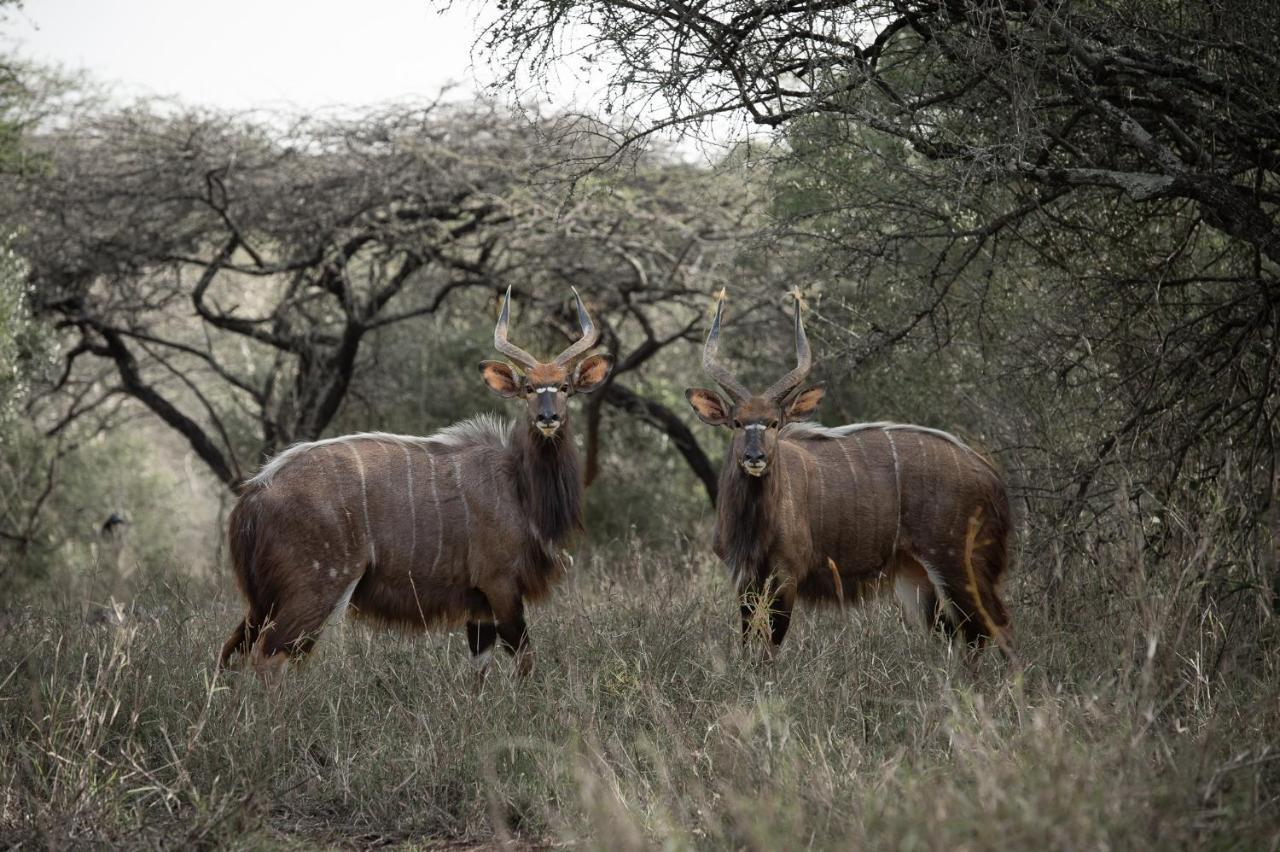 Zululand Lodge Hluhluwe Ngoại thất bức ảnh